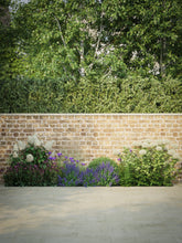 products/SotoHouseSun-09.jpg